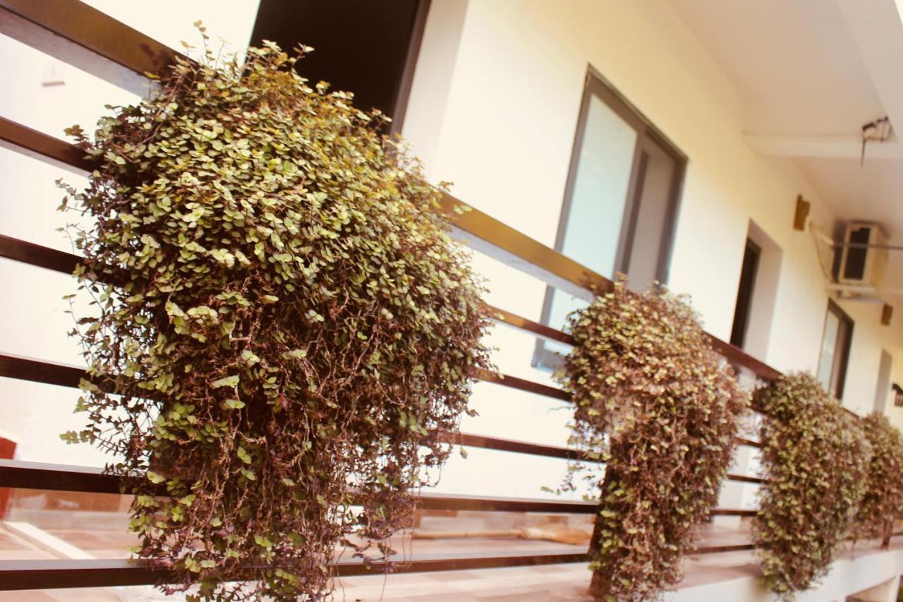 Ba Be Hostel Bac Kan 外观 照片